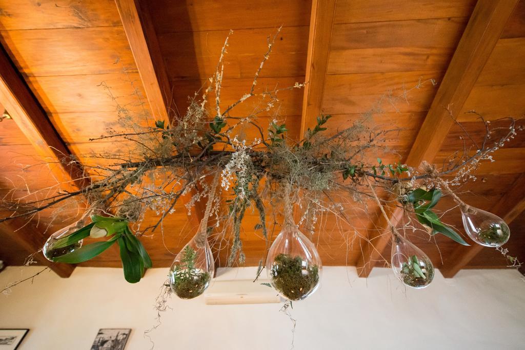 Tulbagh Country Guest House - Cape Dutch Quarters Εξωτερικό φωτογραφία
