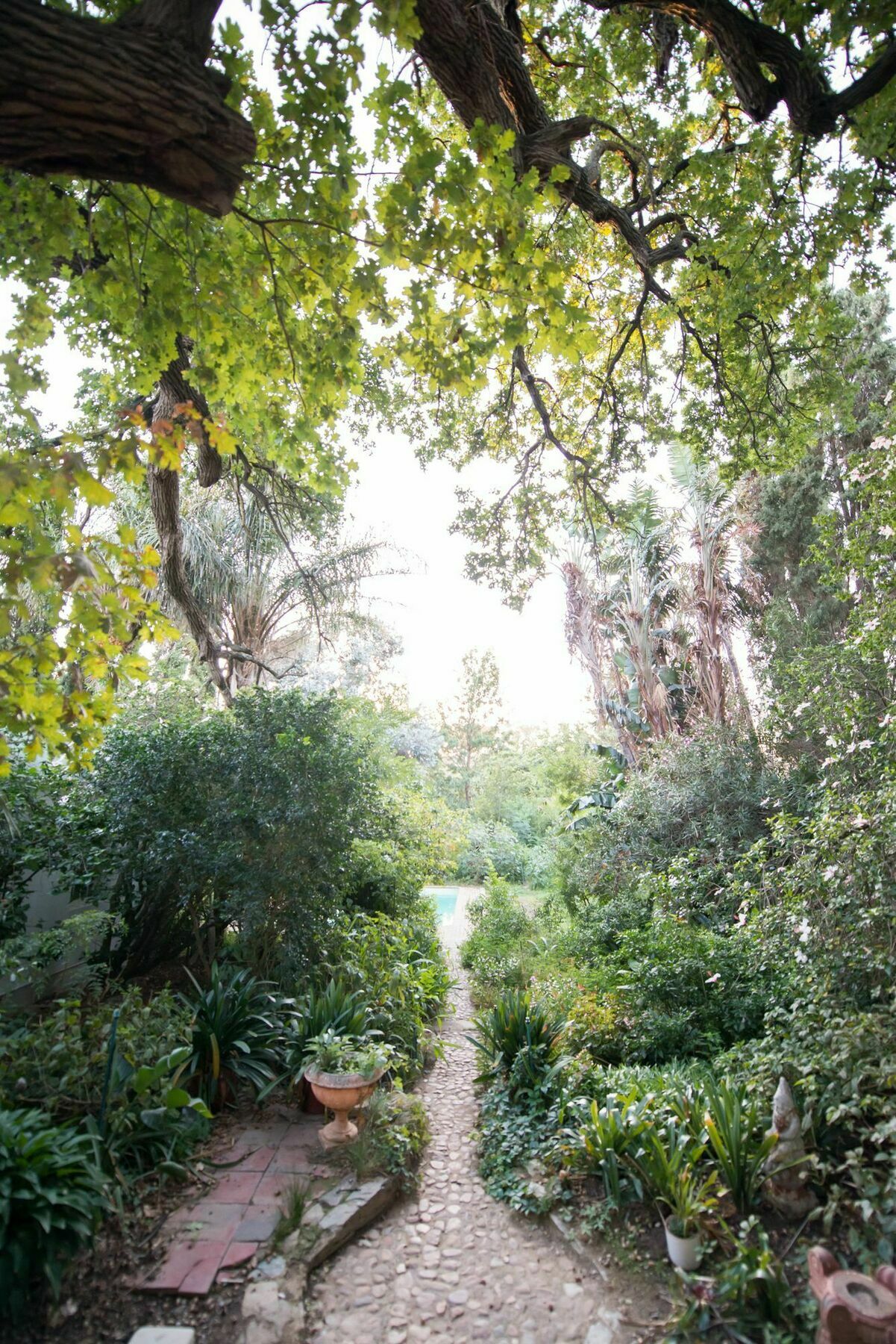 Tulbagh Country Guest House - Cape Dutch Quarters Εξωτερικό φωτογραφία
